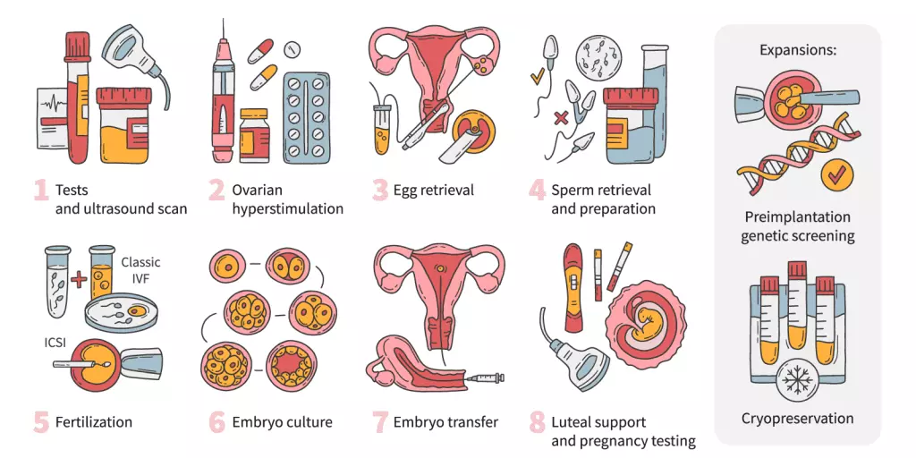 Illustration image of IVF Egg Freezing in Asia.