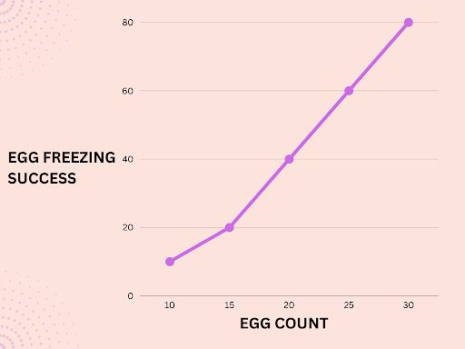 Chart of egg freezing success and egg count.