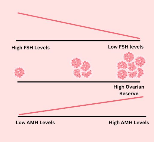 Chart for High and Low FSH and AMH Levels.