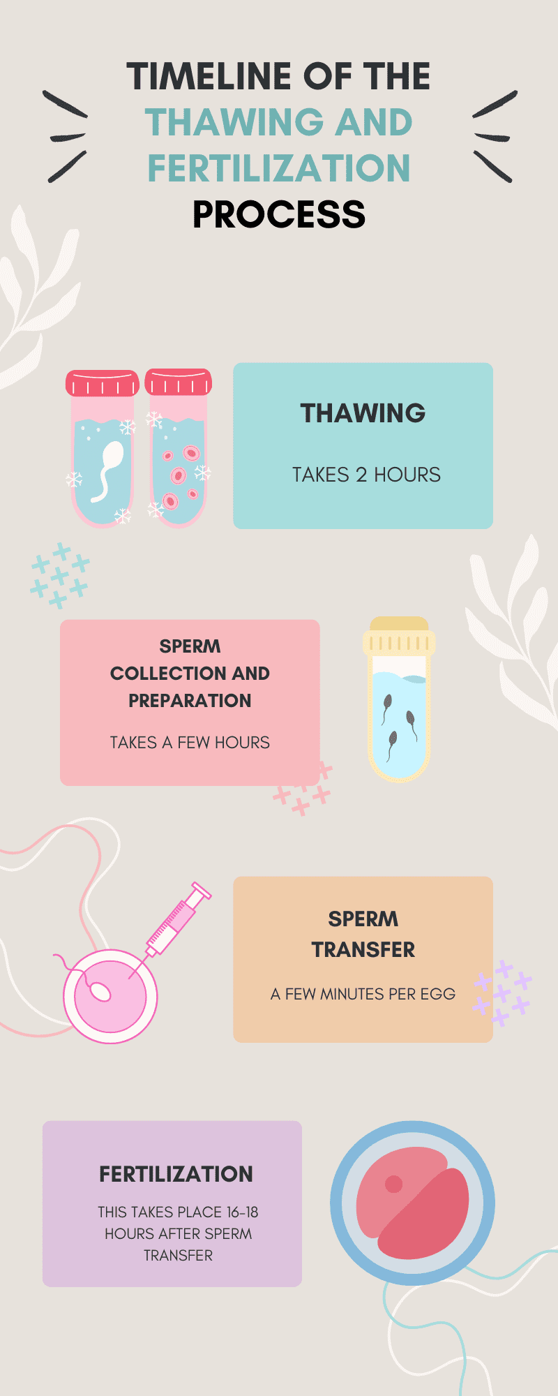 After Egg Freezing: The Thawing and Fertilization Process image + 1