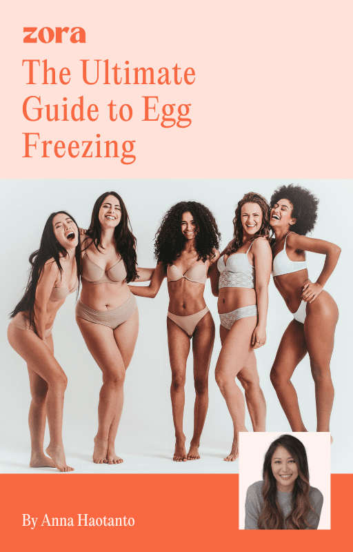 guide to egg freezing and fertility treatments