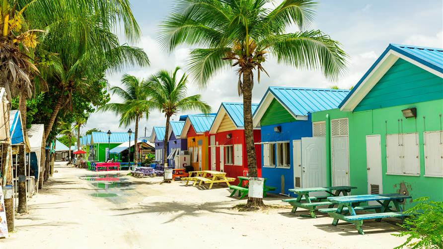 Colorful line of houses in barbados