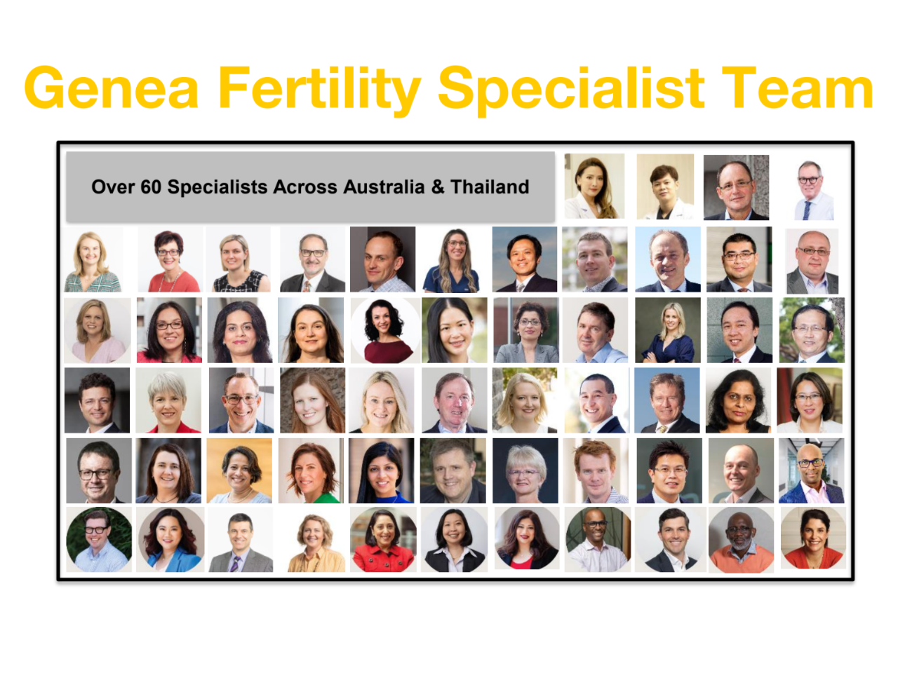 Genea Fertility specialist team Australia Thailand