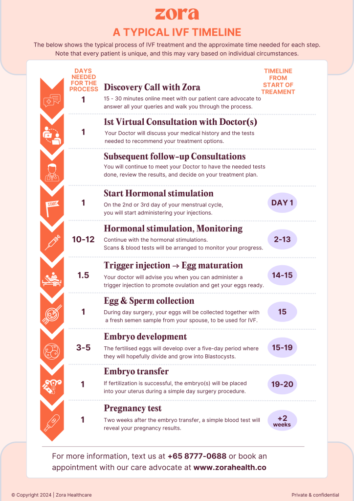 Typical IVF Timeline Zora Health